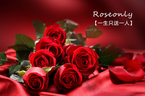描写玫瑰花的语句 成功的花