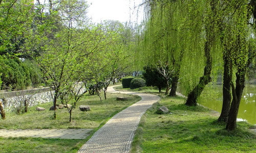 描写校园的高中作文