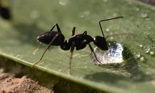 1453359656742341.jpg