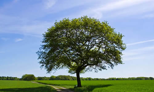 ĸһ