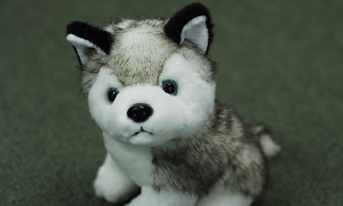 小狗失踪了我伤心作文