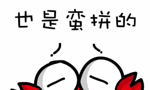 什么也是蛮拼的作文