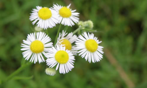 初中作文那一刻几分甜蜜在心头600-求初中作文