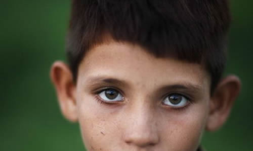 初中作文:以新校园.新老师.新同学为话题,写一