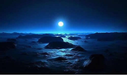 月光花简笔画内容图片展示