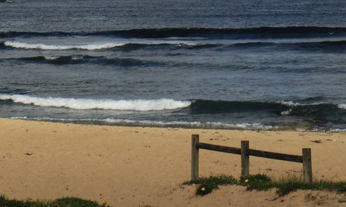 人教版六年级下册语文第四单元作文:读《鲁滨