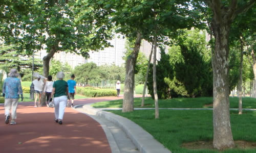 一篇关于我最喜爱的一项体育运动的作文