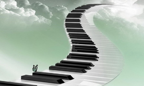 这社会是怎么啦,为什么就不能脚踏实地的工作