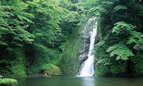 有没有感觉时光如流水
