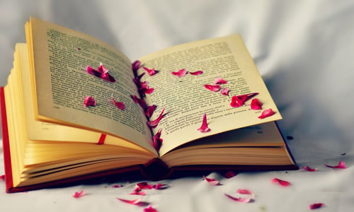 一路书香作文1000字