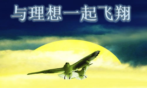 为理想而奋斗作文500字