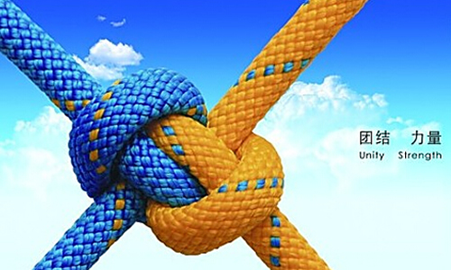 感悟团结作文600字