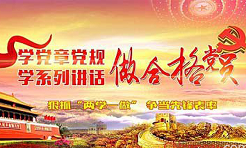 两学一做学习党章心得体会