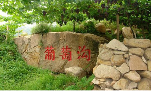 葡萄沟游记作文|葡萄沟游记作文550字