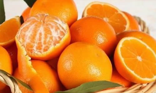 橘子的启示作文