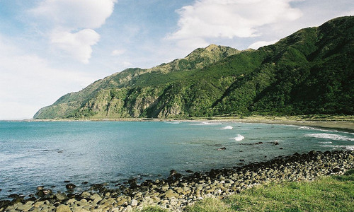 保护地球作文600字初一