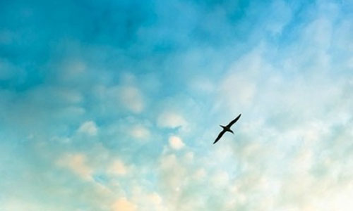 说话的魅力读后感