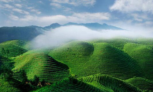 生态文明建设英语作文