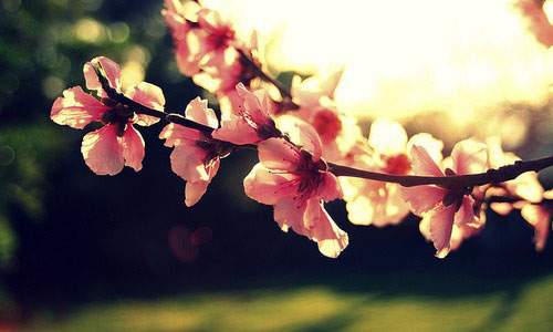 最想依靠的就是你作文