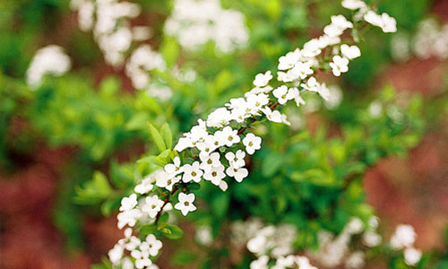 就从现在开始作文