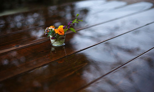 写事的作文300字