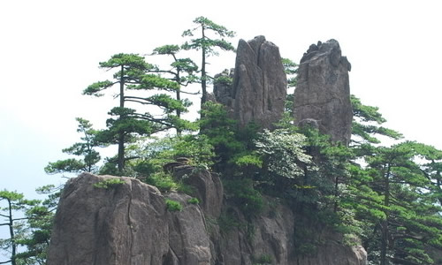 最美的风景在路上作文700初中-余下全文