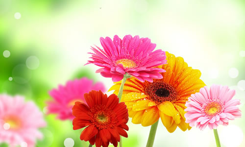 真正的朋友作文600字初二