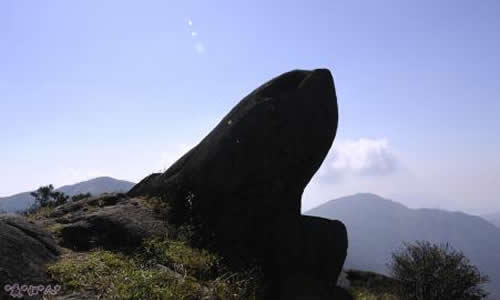 梁野山作文400字