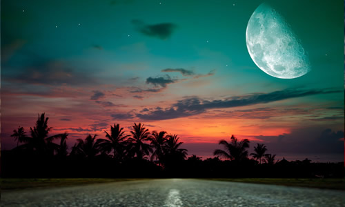 春风沉醉的夜晚开头 图片合集