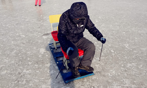 玩雪爬犁小学生作文