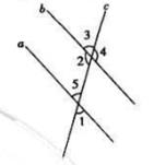 1499053222349245.jpg