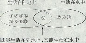 1502520379444905.jpg